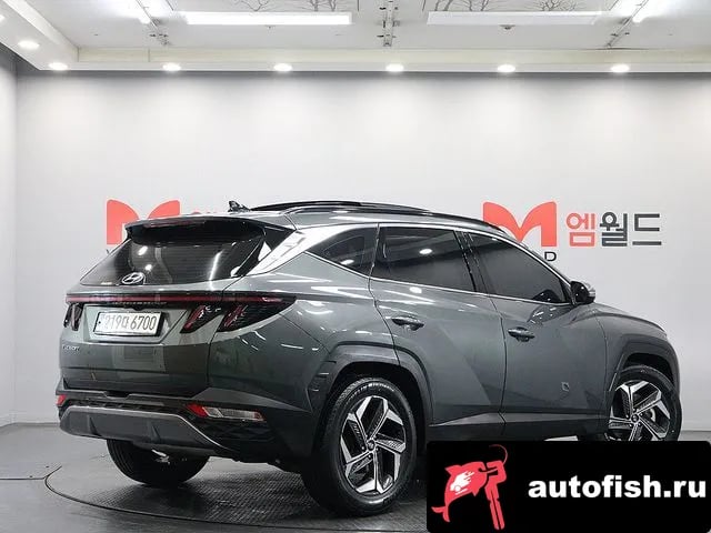 Hyundai Tucson Tucson (NX4) 2023 года - вид 4