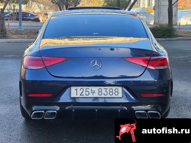 Mercedes-Benz CLS-Class CLS-Class C257 2020 года - вид 4