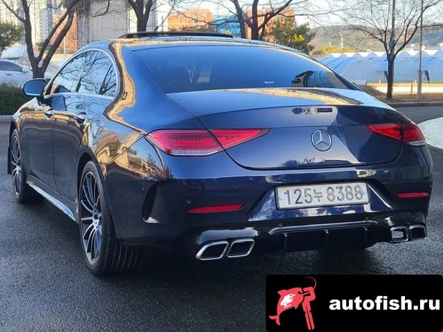 Mercedes-Benz CLS-Class CLS-Class C257 2020 года - вид 5