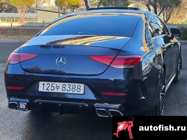 Mercedes-Benz CLS-Class CLS-Class C257 2020 года - вид 6