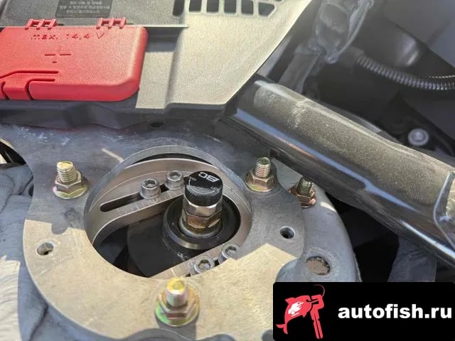 BMW M2 M2 (F87) 2019 года - похожие автомобили