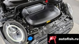 Миниатюра 6