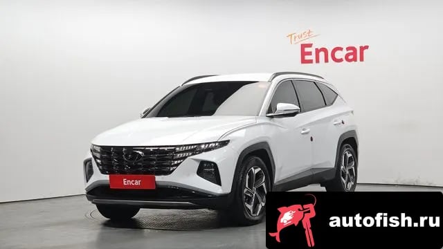 Hyundai Tucson Tucson (NX4) 2023 года - автомобиль из Южной Кореи