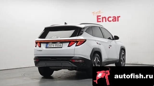 Hyundai Tucson Tucson (NX4) 2023 года - вид 2