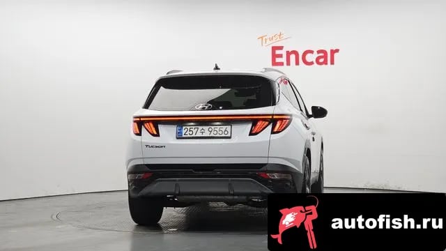 Hyundai Tucson Tucson (NX4) 2023 года - вид 4