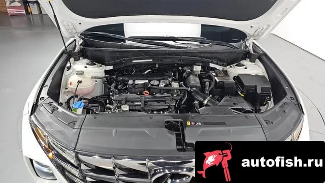 Hyundai Tucson Tucson (NX4) 2023 года - вид 6