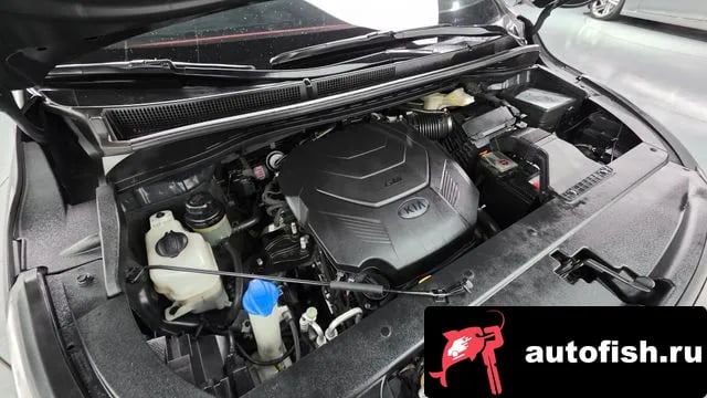 Kia Carnival The New Carnival 2019 года - вид 6