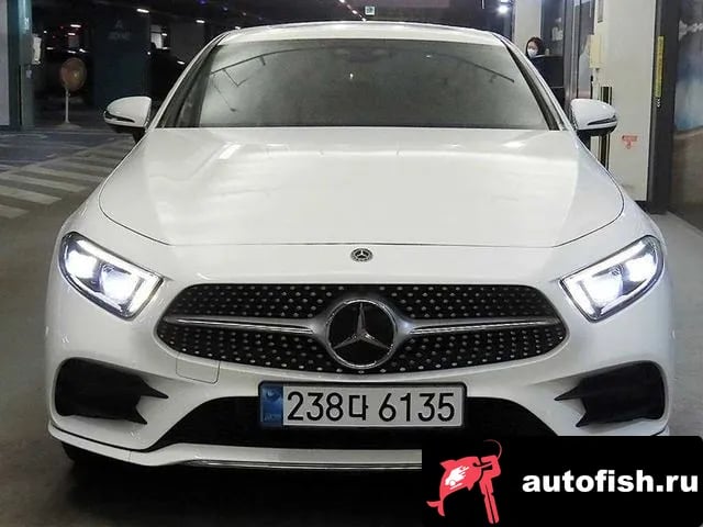 Mercedes-Benz CLS-Class CLS-Class C257 2019 года - вид 2