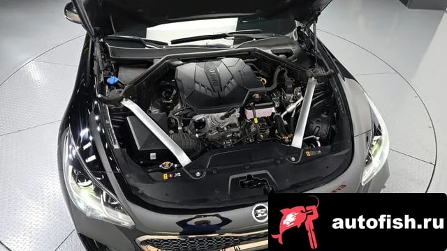Kia Stinger Stinger Meister 2020 года - вид 6