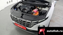 Миниатюра 6