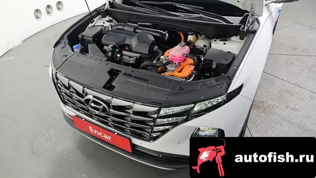 Hyundai Tucson Tucson Hybrid (NX4) 2022 года - вид 6