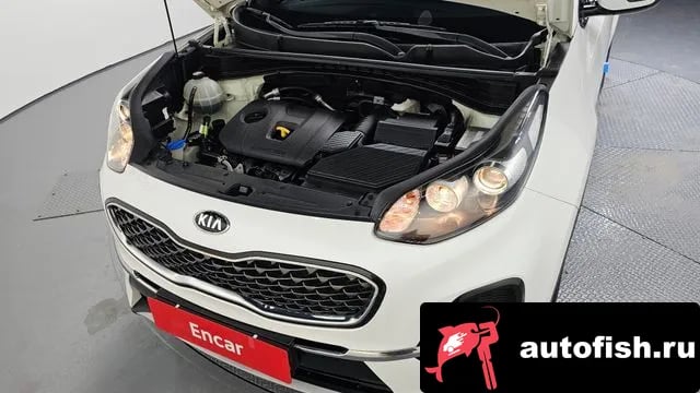 Kia Sportage Sportage The Bold 2019 года - вид 6