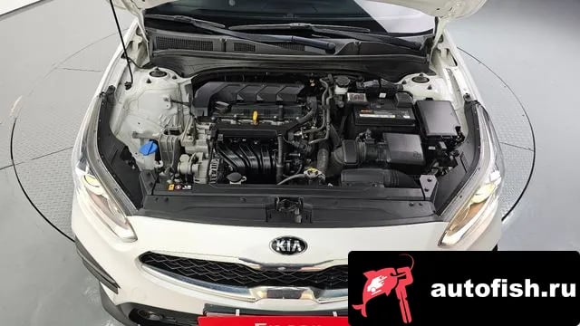Kia K3 Come New K3 2019 года - вид 6