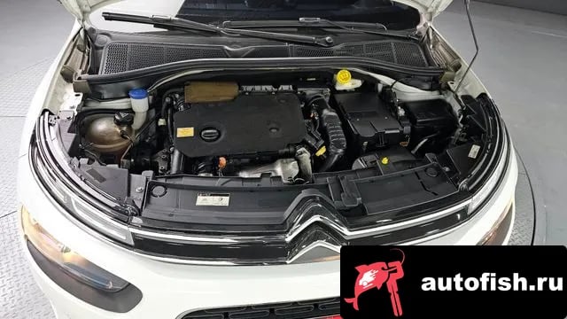 Citroen-DS C4 CACTUS C4 Cactus 2019 года - вид 6