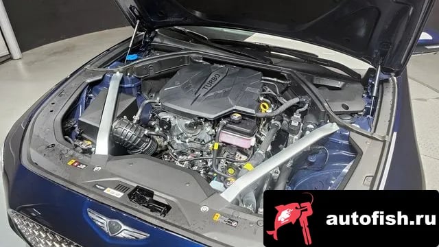 Genesis G70 The New G70 Shooting Break 2024 года - вид 6