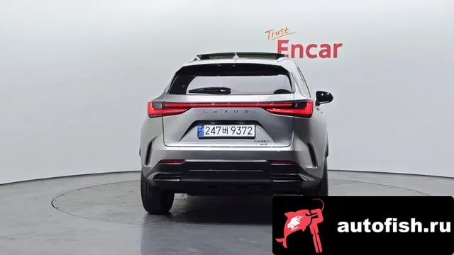 Lexus NX NX350h Second generation 2023 года - похожие автомобили