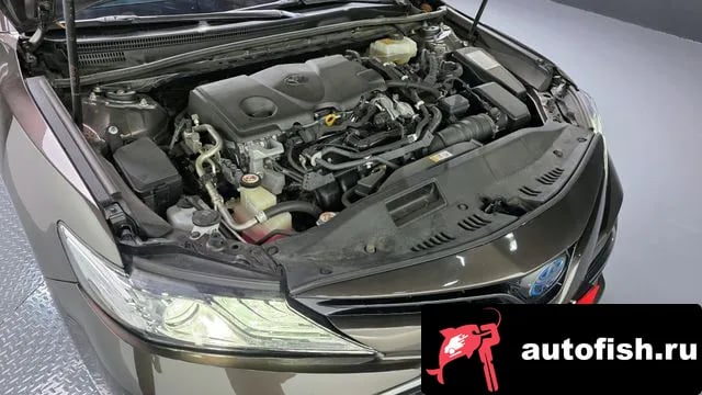 Toyota Camry Camry (XV70) 2018 года - вид 6