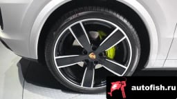 Миниатюра 5