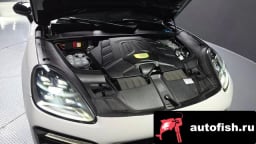 Миниатюра 6