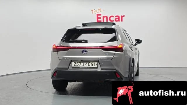 Lexus UX UX250h 2021 года - вид 4