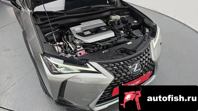 Lexus UX UX250h 2021 года - вид 6