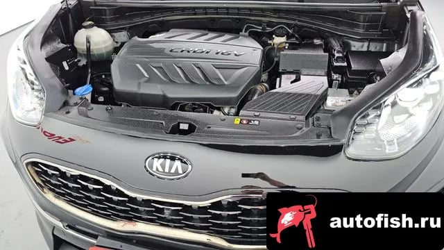 Kia Sportage Sportage The Bold 2018 года - вид 6