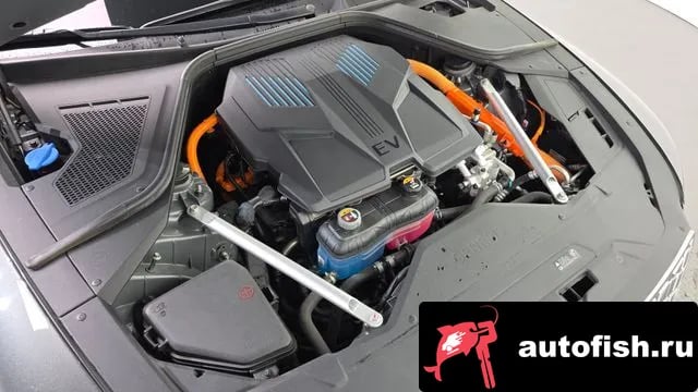 Genesis G80 Electrifide G80 (RG3) 2023 года - вид 6