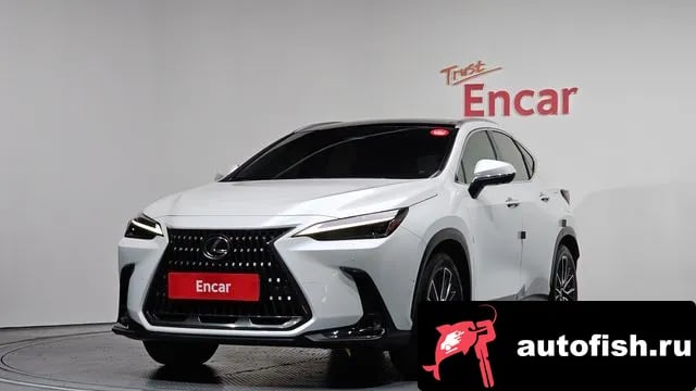 Lexus NX NX350h Second generation 2023 года - вид 1