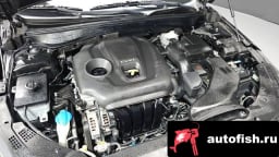 Миниатюра 5