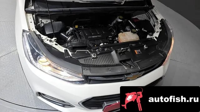 Chevrolet (GM Daewoo) Trax The New Trax 2021 года - вид 6