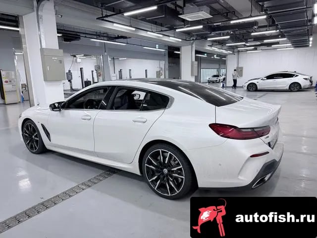 BMW 8-Series 8 Series (G15) 2023 года - похожие автомобили