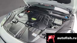 Миниатюра 6