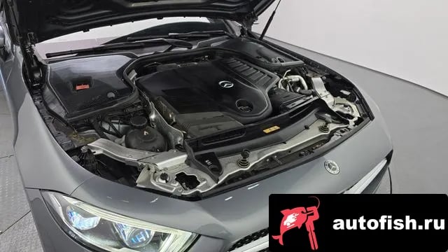 Mercedes-Benz CLS-Class CLS-Class C257 2021 года - вид 6