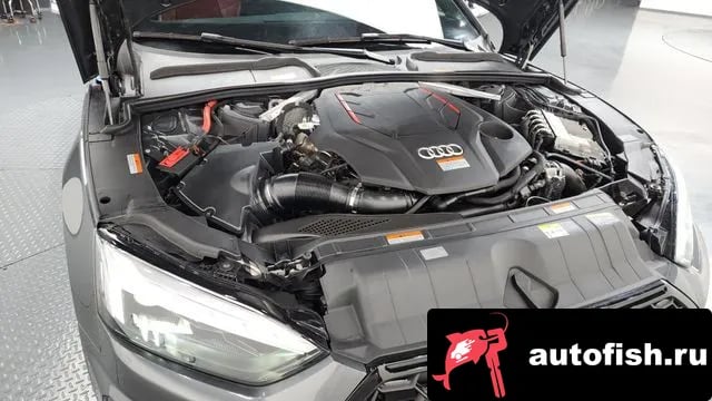 Audi S5 S5 (F5) 2023 года - вид 6