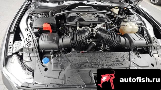 Ford Mustang Mustang 7th Generation 2024 года - вид 6