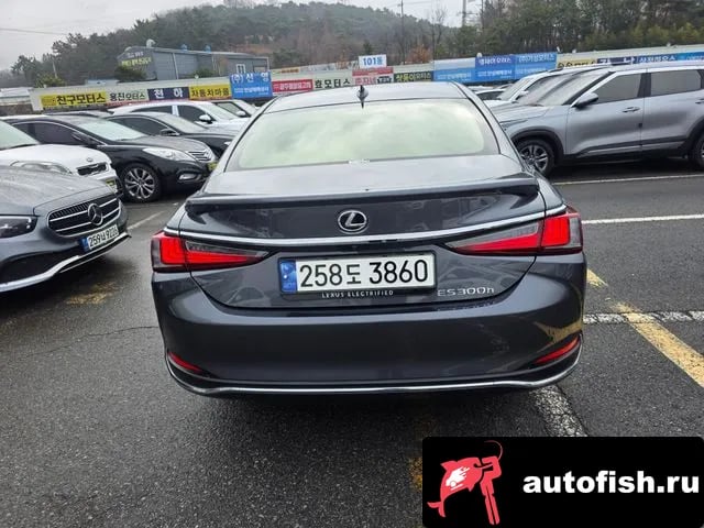 Lexus ES ES300h 7th generation 2024 года - вид 4