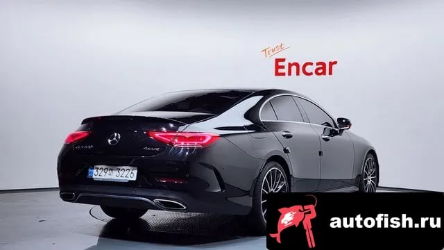Mercedes-Benz CLS-Class CLS-Class C257 2020 года - вид 2