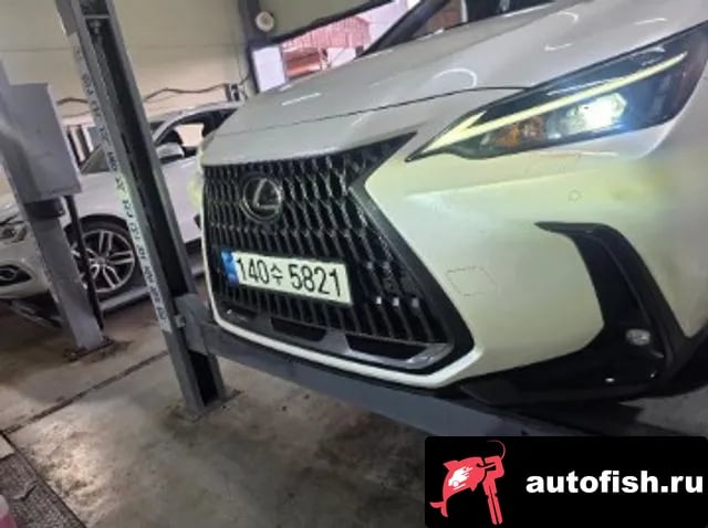 Lexus NX NX450h + 2nd generation 2023 года - автомобиль из Южной Кореи