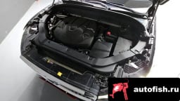 Миниатюра 6