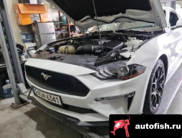 Ford Mustang Mustang 2023 года - вид 1