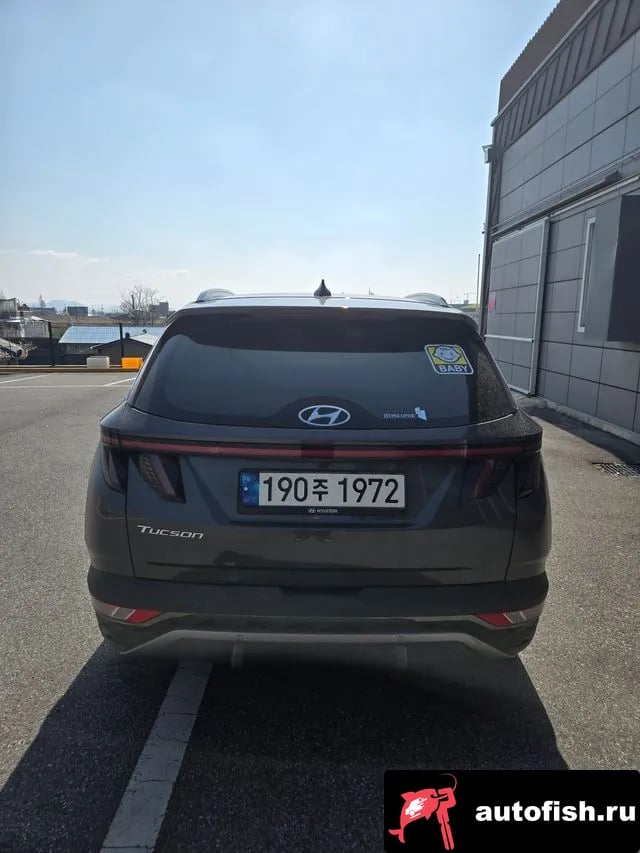 Hyundai Tucson Tucson Hybrid (NX4) 2022 года - вид 1