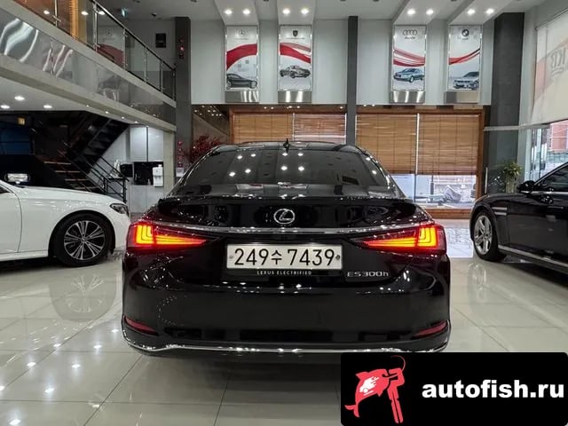 Lexus ES ES300h 7th generation 2024 года - вид 4