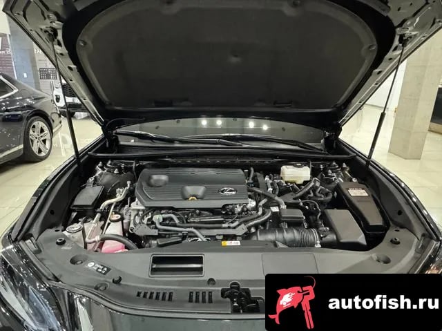 Lexus ES ES300h 7th generation 2024 года - вид 6