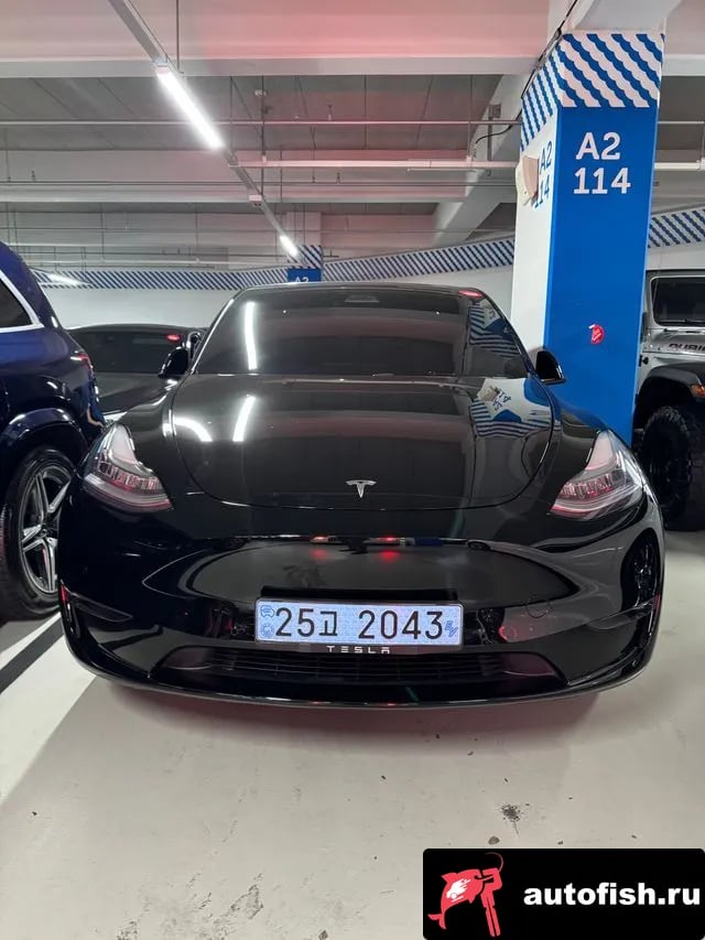 Tesla Model Y Model Y 2021 года - вид 1