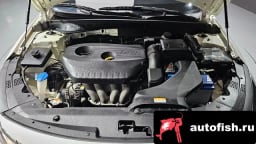 Миниатюра 6