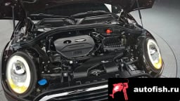 Миниатюра 5