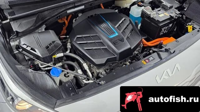 Kia Niro Niro Plus 2022 года - вид 6