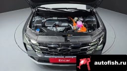 Миниатюра 6