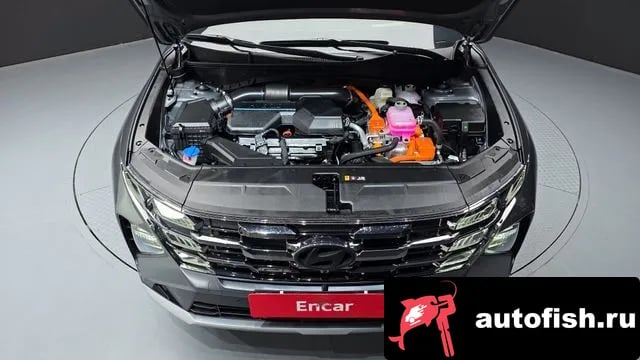 Hyundai Tucson The New Tucson Hybrid (NX4) 2024 года - вид 6