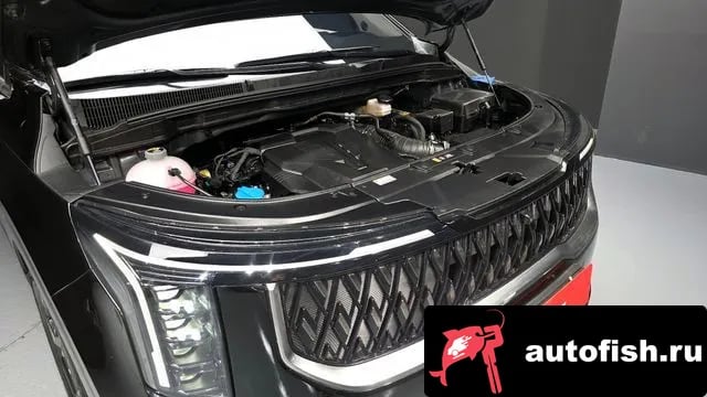 Kia Carnival The New Carnival 4th Generation 2025 года - вид 6